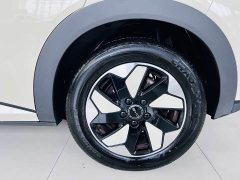 BYD Dolphin Glory Edition 420km Fashion Version - ფოტო 19