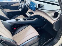 BYD Dolphin Glory Edition 420km Fashion Version - ფოტო 20