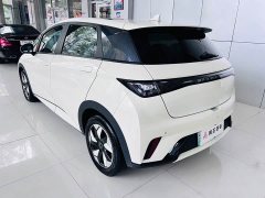 BYD Dolphin Glory Edition 420km Fashion Version - ფოტო 3