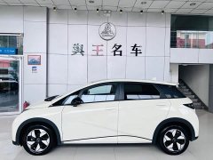 BYD Dolphin Glory Edition 420km Fashion Version - ფოტო 4
