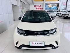 BYD Dolphin Glory Edition 420km Fashion Version - ფოტო 6