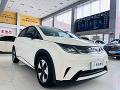 BYD Dolphin Glory Edition 420km Fashion Version - ფოტო 8