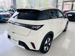BYD Dolphin Glory Edition 420km Fashion Version - ფოტო 9