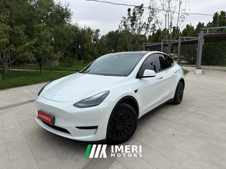 Tesla Model Y Rear-Wheel Drive - ავტომობილი ჩინეთიდან