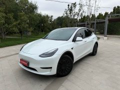 Tesla Model Y Rear-Wheel Drive - ფოტო 1