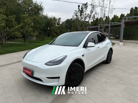 2023 Tesla Model Y Rear-Wheel Drive - ავტომობილი ჩინეთიდან