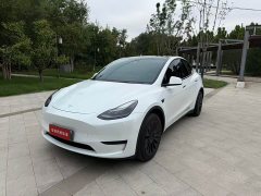 Tesla Model Y Rear-Wheel Drive - ფოტო 2