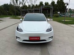 Tesla Model Y Rear-Wheel Drive - ფოტო 3