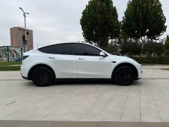 Tesla Model Y Rear-Wheel Drive - ფოტო 5