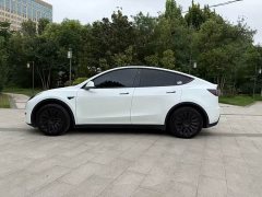 Tesla Model Y Rear-Wheel Drive - ფოტო 6