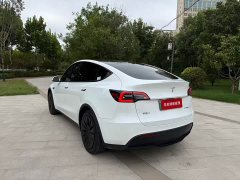 Tesla Model Y Rear-Wheel Drive - ფოტო 7
