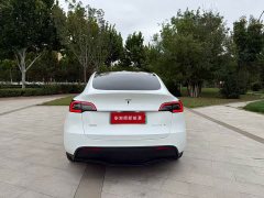 Tesla Model Y Rear-Wheel Drive - ფოტო 8