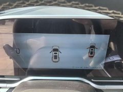 Tesla Dajia 9 Long Range Forest Six-Seater - ფოტო 17