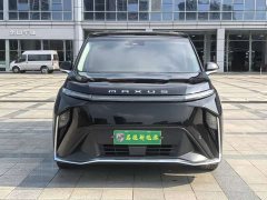Tesla Dajia 9 Long Range Forest Six-Seater - ფოტო 2