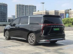 Tesla Dajia 9 Long Range Forest Six-Seater - ფოტო 3