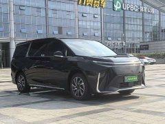 Tesla Dajia 9 Long Range Forest Six-Seater - ფოტო 4