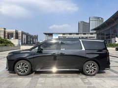 Tesla Dajia 9 Long Range Forest Six-Seater - ფოტო 5