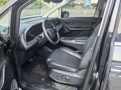 Tesla Dajia 9 Long Range Forest Six-Seater - ფოტო 7