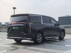 Tesla Dajia 9 Long Range Forest Six-Seater - ფოტო 8