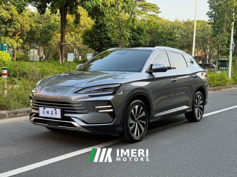 2024 BYD Song Plus New Energy DM-i 110km Flagship Honors Edition - ავტომობილი ჩინეთიდან