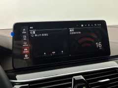 BMW 5 Series 530Li Premier Luxury Package - ფოტო 15