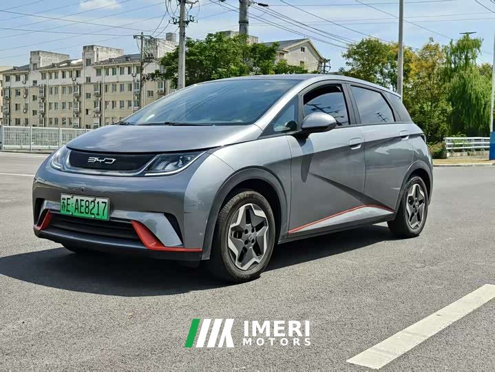 BYD Dolphin 405km Freedom Edition - ავტომობილი ჩინეთიდან