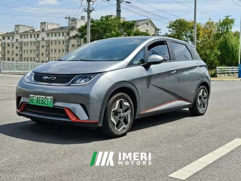2023 BYD Dolphin 405km Freedom Edition - ავტომობილი ჩინეთიდან