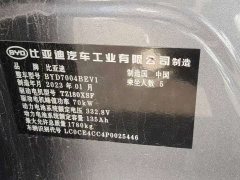 BYD Dolphin 405km Freedom Edition - ფოტო 10