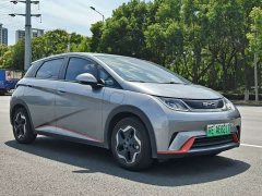 BYD Dolphin 405km Freedom Edition - ფოტო 3