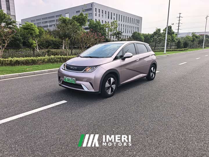 BYD Dolphin 420km Fashion Edition - ავტომობილი ჩინეთიდან