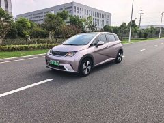 BYD Dolphin 420km Fashion Edition - ფოტო 1