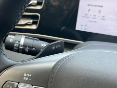 BYD Qin L DM-i Smart Drive Edition 80KM Leading - ფოტო 17