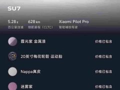 Xiaomi SU7 2024 Rear-Wheel Drive Long Range Smart Driving Edition - ფოტო 16