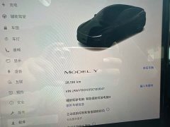 Tesla Model Y Rear-Wheel Drive - ფოტო 12