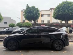Tesla Model Y Rear-Wheel Drive - ფოტო 4