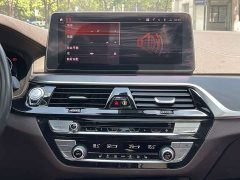 BMW 5 Series Facelift 530Li Premier M Sport Package - ფოტო 10