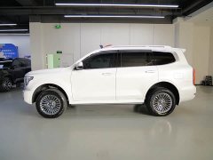Tank 500 3.0T Business Edition Landscape Trim 5-Seater - ფოტო 4