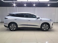 BYD Haima Lion Haima Sealion 06 EV 605 Pilot Edition - фото 9