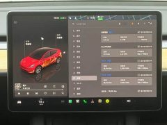 Tesla Model Y 2022 Facelift Rear-Wheel Drive - ფოტო 10
