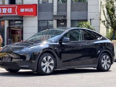 Tesla Model Y Rear-Wheel Drive - ფოტო 1