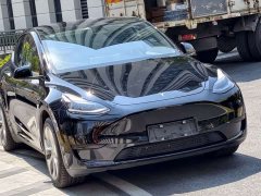 Tesla Model Y Rear-Wheel Drive - ფოტო 10