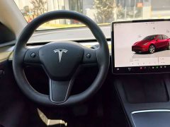 Tesla Model Y Rear-Wheel Drive - ფოტო 11