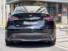 Tesla Model Y Rear-Wheel Drive - ფოტო 18