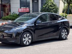 Tesla Model Y Rear-Wheel Drive - ფოტო 6