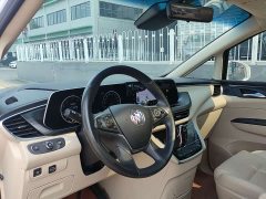 Buick GL8 ES Luxe 653T Prestige - ფოტო 10