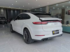 Porsche Cayenne S Coupé 2.9T Platinum Edition - ფოტო 18