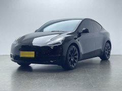 Tesla Model Y Long Range All-Wheel Drive - ფოტო 1