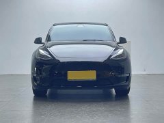 Tesla Model Y Long Range All-Wheel Drive - ფოტო 2