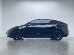 Tesla Model Y Long Range All-Wheel Drive - ფოტო 6