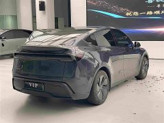 Tesla Model Y Rear-Wheel Drive - ფოტო 6